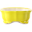 Maceta para bonsái amarilla Mokko de Yixing - 245 x 190 x 70 mm