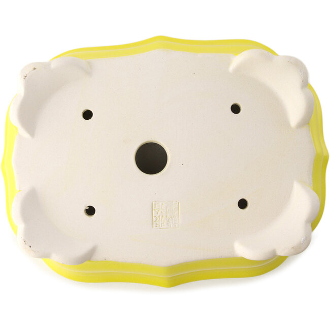 Maceta para bonsái amarilla Mokko de Yixing - 245 x 190 x 70 mm