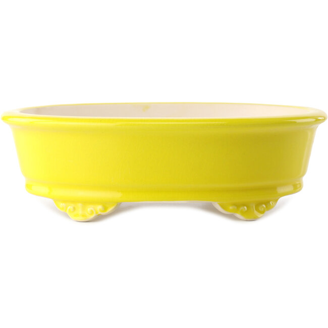 Pot à bonsaï ovale jaune par Yixing - 270 x 200 x 80 mm