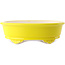 Pot à bonsaï ovale jaune par Yixing - 270 x 200 x 80 mm