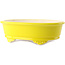 Pot à bonsaï ovale jaune par Yixing - 270 x 200 x 80 mm