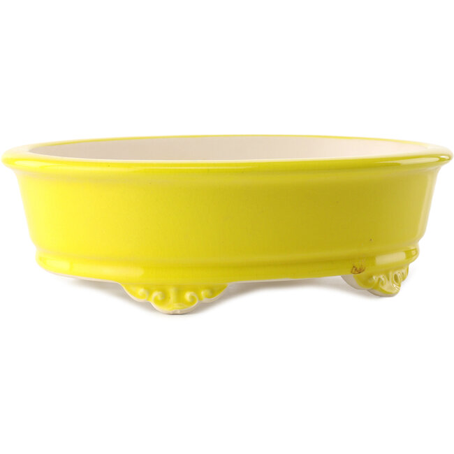 Pot à bonsaï ovale jaune par Yixing - 270 x 200 x 80 mm