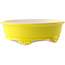 Pot à bonsaï ovale jaune par Yixing - 270 x 200 x 80 mm