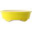 Pot à bonsaï ovale jaune par Yixing - 270 x 200 x 80 mm