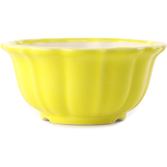 Vaso bonsai rotondo giallo di Yixing - 135 x 135 x 65 mm