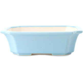 Yixing Vaso bonsai azzurro da 220 mm di Yixing, Cina