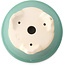 Pot à bonsaï rond moyen vert par Yixing - 170 x 170 x 110 mm