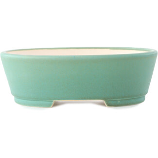 Yixing 235 mm  medium green bonsai pot by Yixing, China