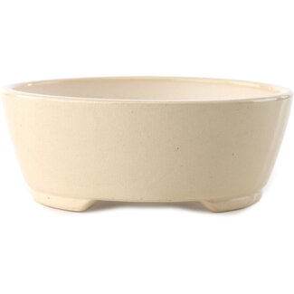 Yixing Vaso bonsai color avorio da 145 mm di Yixing, Cina
