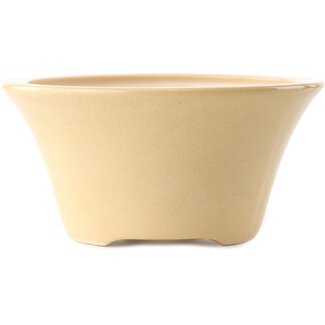 Yixing Maceta para bonsái de color marfil de 160 mm de Yixing, China