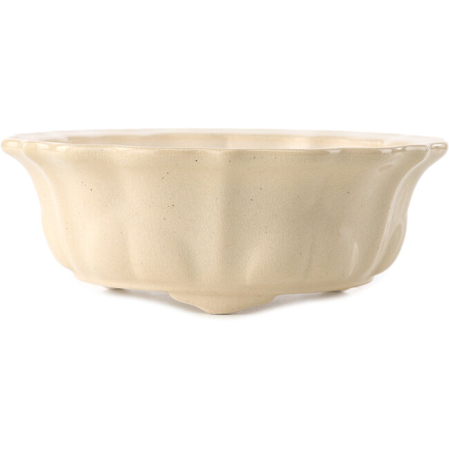 Ronde ivoren bonsaipot van Yixing - 170 x 170 x 60 mm