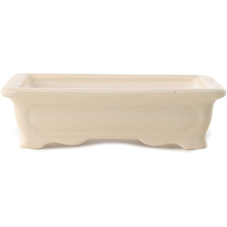 Yixing Vaso bonsai color avorio da 180 mm di Yixing, Cina