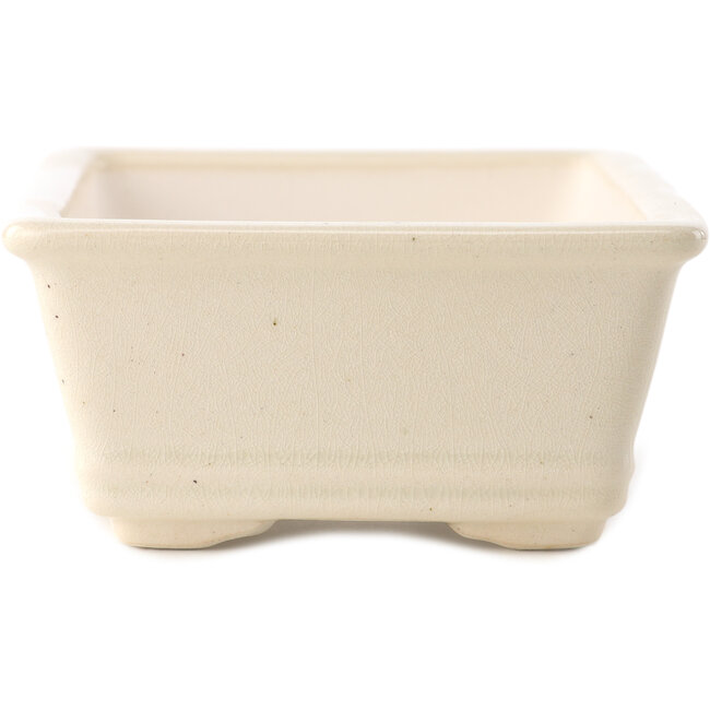 Vaso bonsai rettangolare in avorio di Yixing - 180 x 130 x 50 mm