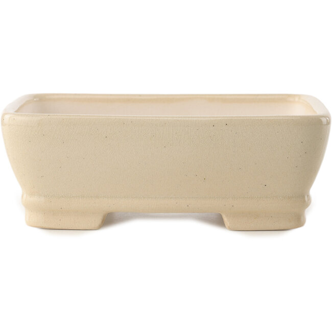 Maceta rectangular para bonsái marfil de Yixing - 180 x 140 x 60 mm