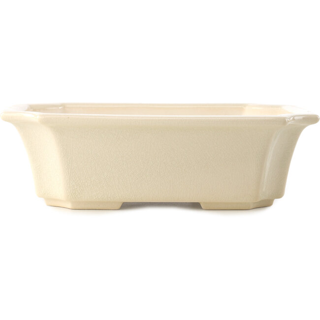 Maceta rectangular para bonsái marfil de Yixing - 220 x 180 x 60 mm