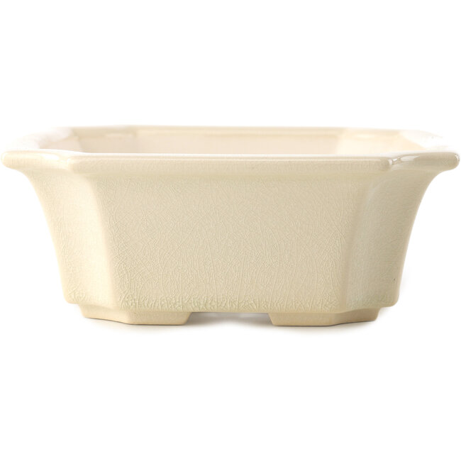 Maceta rectangular para bonsái marfil de Yixing - 220 x 180 x 60 mm