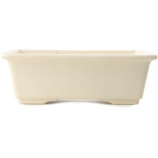 Yixing Maceta para bonsái de color marfil de 215 mm de Yixing, China