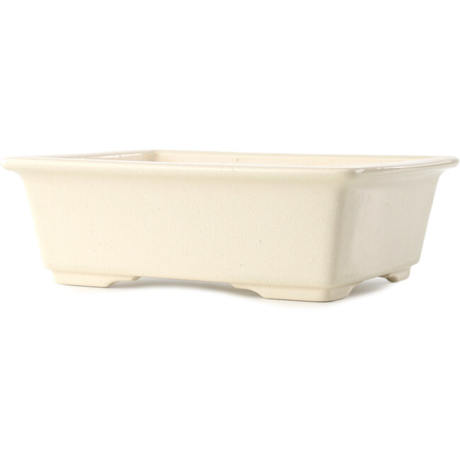 Maceta rectangular para bonsái marfil de Yixing - 215 x 170 x 70 mm