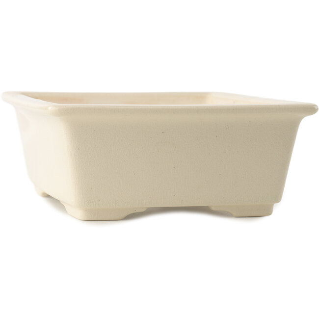 Vaso bonsai rettangolare in avorio di Yixing - 215 x 170 x 70 mm