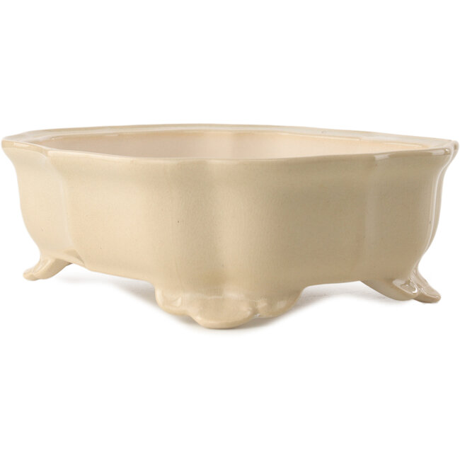 Pot à bonsaï Mokko ivoire par Yixing - 245 x 190 x 70 mm