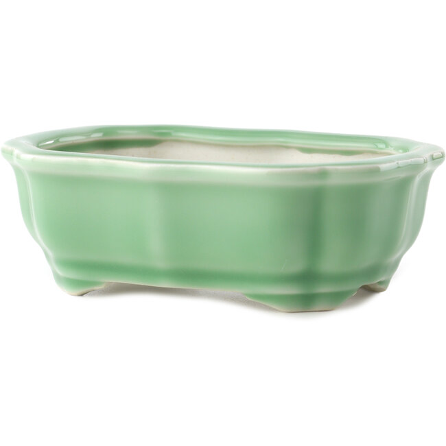 Vaso bonsai Mokko verde celadon di Yixing - 150 x 115 x 55 mm