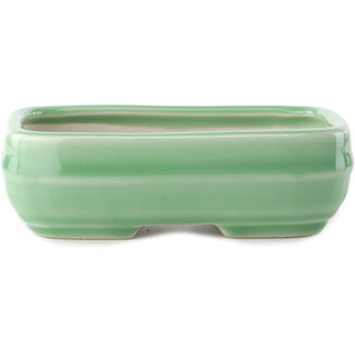 Yixing Vaso bonsai verde celadon da 150 mm di Yixing, Cina