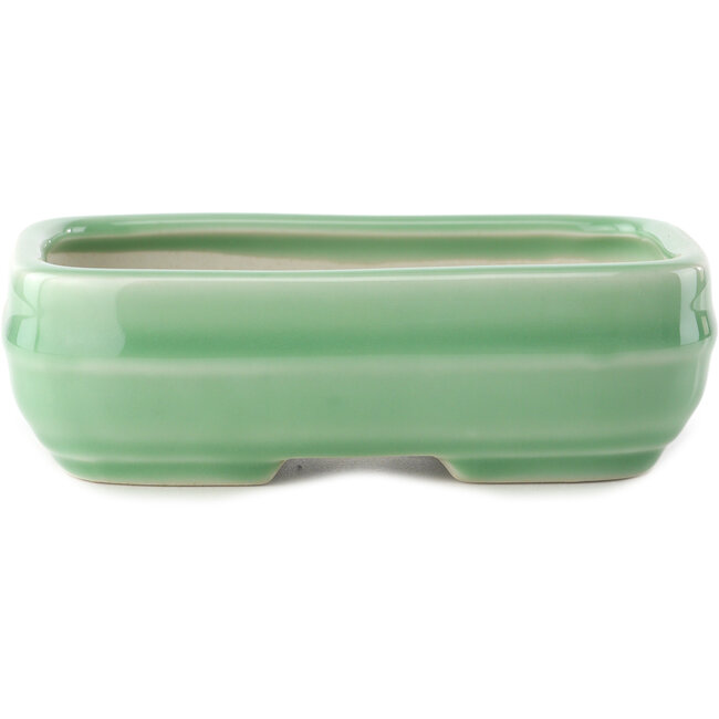 Maceta rectangular para bonsái verde celadón de Yixing - 150 x 100 x 60 mm