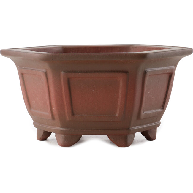 Vaso bonsai esagonale non smaltato di Yixing - 175 x 155 x 85 mm