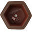 Pot à bonsaï hexagonal non émaillé par Yixing - 175 x 155 x 85 mm