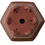 Maceta hexagonal para bonsái sin esmaltar de Yixing - 175 x 155 x 85 mm