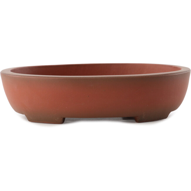 Pot à bonsaï ovale non émaillé par Yixing - 183 x 145 x 45 mm