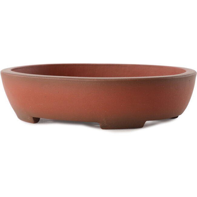 Vaso bonsai ovale non smaltato di Yixing - 183 x 145 x 45 mm