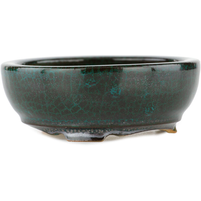 Vaso bonsai rotondo verde - 100 x 100 x 35 mm