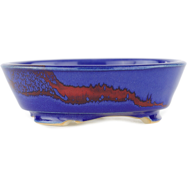 Round multicolor bonsai pot - 100 x 100 x 35 mm