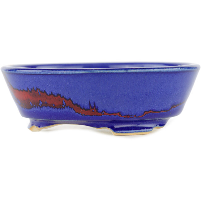 Vaso bonsai rotondo multicolore - 100 x 100 x 35 mm