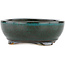 Round green bonsai pot - 100 x 100 x 35 mm