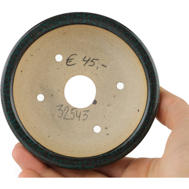 Ronde groene bonsaipot - 100 x 100 x 35 mm