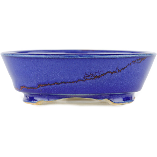 Pot à bonsaï rond multicolore - 100 x 100 x 35 mm