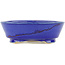 Pot à bonsaï rond multicolore - 100 x 100 x 35 mm