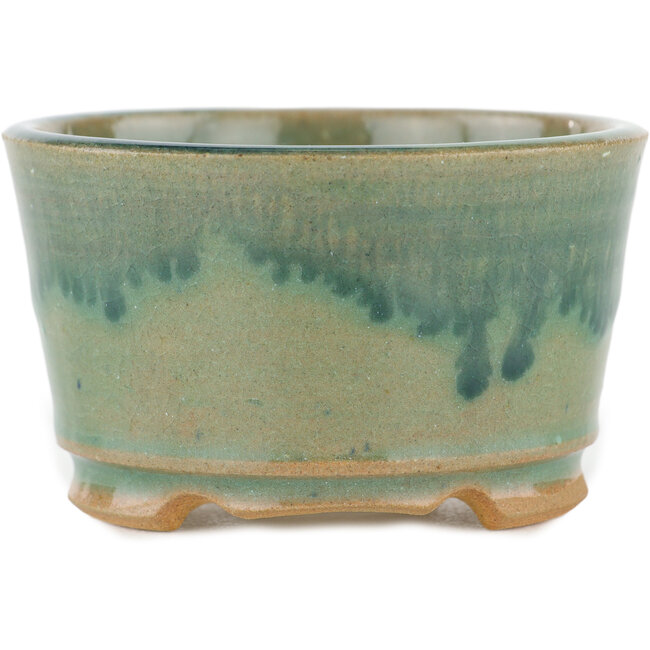 Maceta redonda para bonsái verde - 90 x 90 x 50 mm