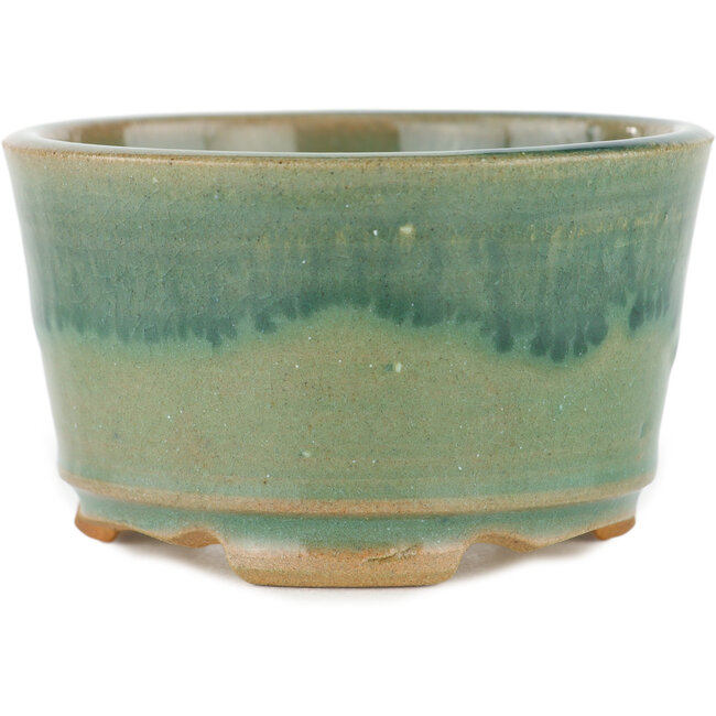 Maceta redonda para bonsái verde - 90 x 90 x 50 mm