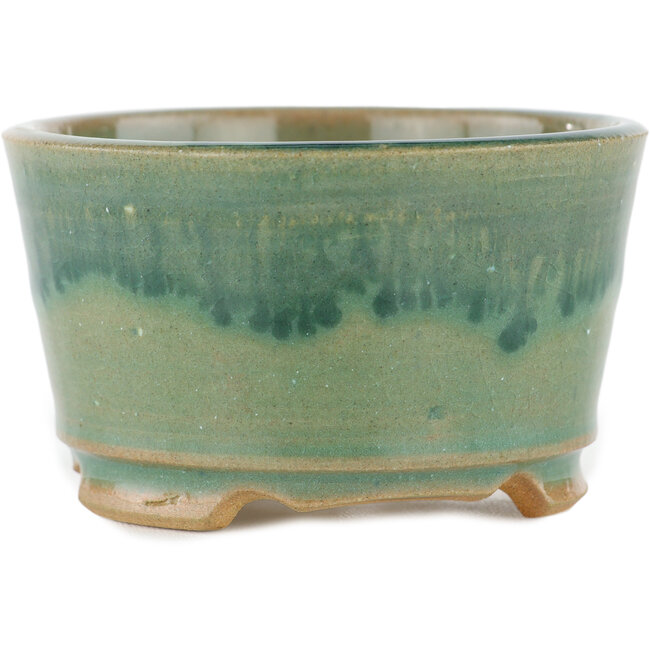 Maceta redonda para bonsái verde - 90 x 90 x 50 mm