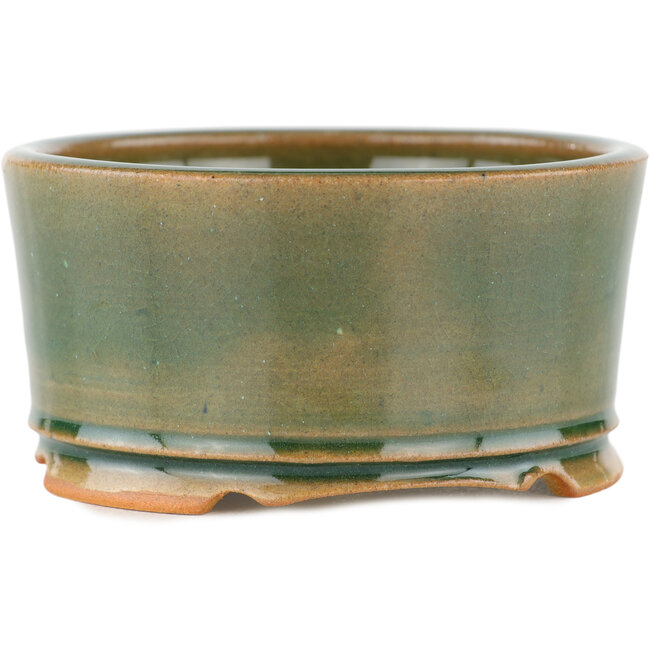 Vaso bonsai rotondo verde - 110 x 110 x 55 mm