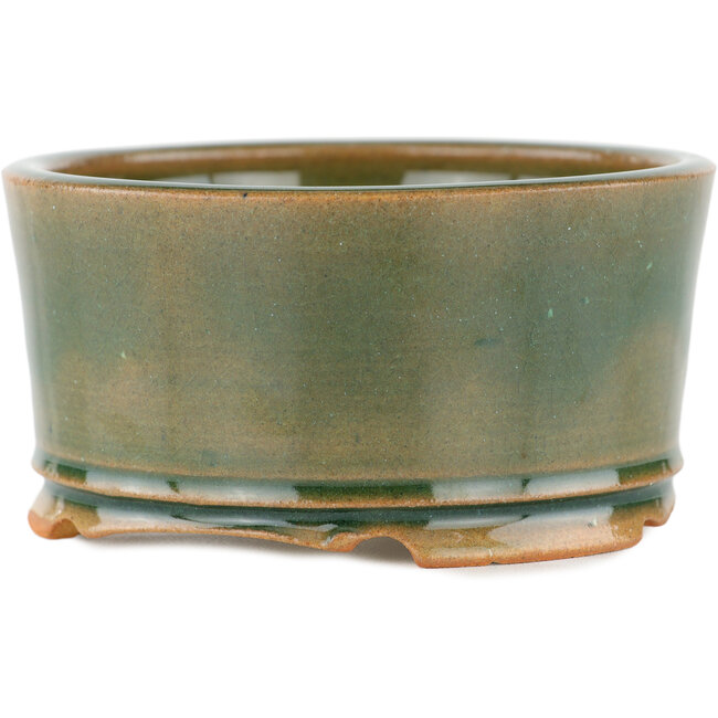 Pot à bonsaï rond vert - 110 x 110 x 55 mm