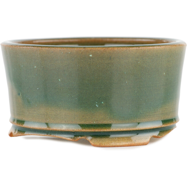 Maceta redonda para bonsái verde - 110 x 110 x 55 mm
