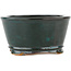 Vaso bonsai rotondo verde - 105 x 105 x 53 mm