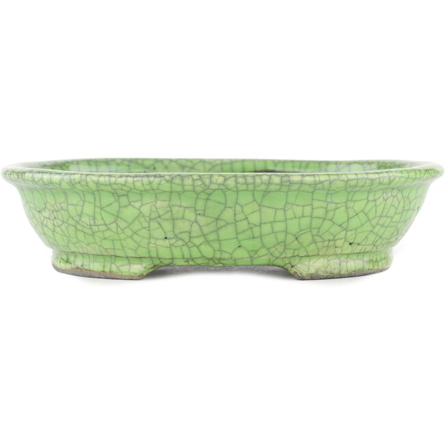 Oval green bonsai pot by Bunzan - 200 x 170 x 45 mm