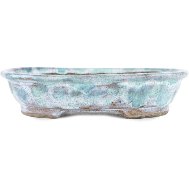 Vaso bonsai ovale bianco e blu di Bunzan - 195 x 170 x 45 mm