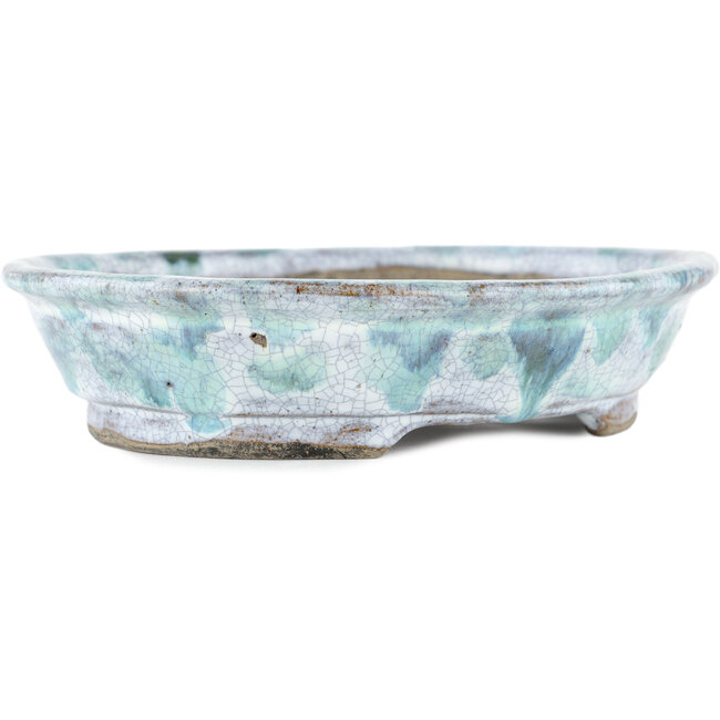 Maceta ovalada para bonsái blanca y azul de Bunzan - 195 x 170 x 45 mm