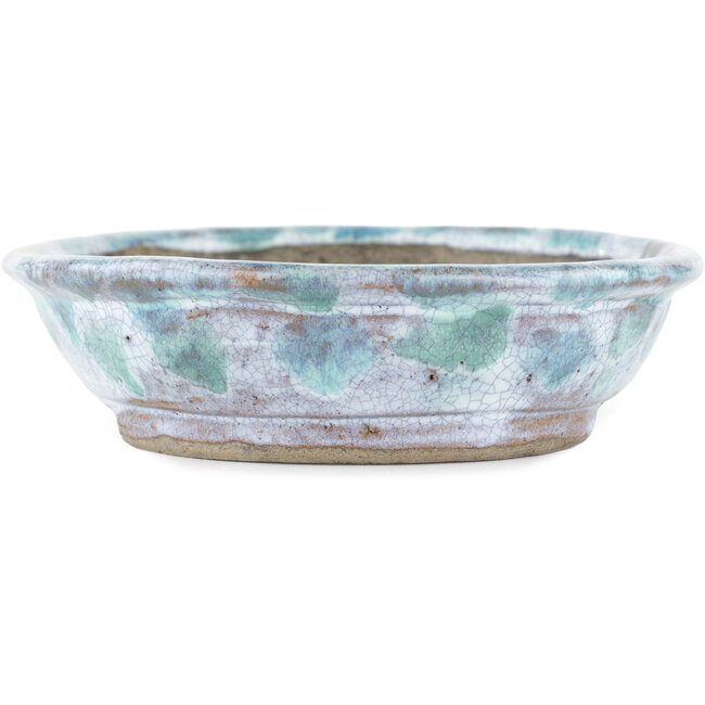 Maceta ovalada para bonsái blanca y azul de Bunzan - 195 x 170 x 45 mm